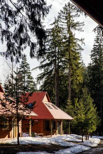 Фотографии Кемпинги Tusnad Bungalow г. Бэиле-Тушнад (Румыния) №3 Фото Кемпинги Tusnad Bungalow г. Бэиле-Тушнад 3