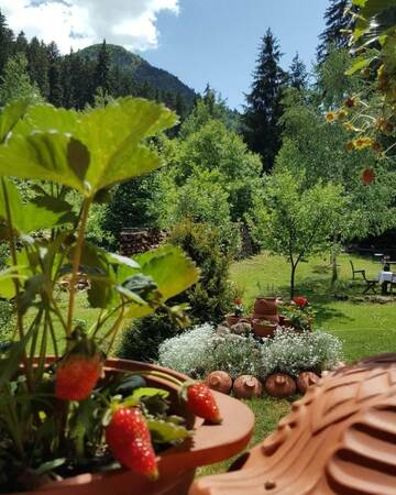Фотографии Отель Fortuna Eco - Boutique Hotel г. Бэиле-Тушнад (Румыния) №4 Фото Отель Fortuna Eco - Boutique Hotel г. Бэиле-Тушнад 4