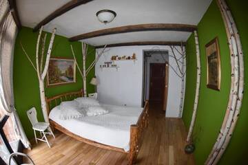 Фото номера Двухместный номер с 1 кроватью Отель Fortuna Eco - Boutique Hotel г. Бэиле-Тушнад 9