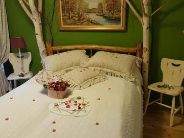 Фото номера Двухместный номер с 1 кроватью Отель Fortuna Eco - Boutique Hotel г. Бэиле-Тушнад 18