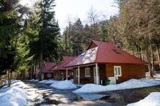 Фото Кемпинги Tusnad Bungalow г. Бэиле-Тушнад